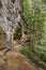 Cliffside Forest Trail - Hockign Hills, Ohio