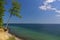 Clifftop with forest and slanted tree above the beach