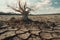 Climate Change and Global Warming Concept: Desiccated and Barren Landscape