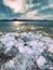 Climate change. Melting of broken glacier in bay. Spring landscape with melting of ice floe.