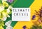 Climate crisis creative flat lay background with flowers and dried flowers, top view, climate changes concept