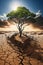 Climate Warning and Desertification Alert: Prioritizing Our Planet\\\'s Urgent Message