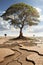 Climate Warning and Desertification Alert: Prioritizing Our Planet\\\'s Urgent Message