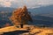 Climax Of Golden Autumn. An Old Lone Beech, Lit By The Autumn Sun, With A Lot Of Orange Foliage On The Background Of The Mountains