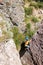 climber boy. a child in a helmet climbs a rock using equipment. children\\\'s sports