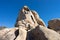 Climber descending rock face in joshua tree national park