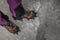 Climber on a frozen waterfall. Crampons close-up on his feet ice climber