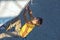 Climber hanging on climbing Wall at Competitions