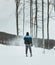 Climber hiker is going for the top of a mountain in an extreme blizzard. Snow storm in forest with snow covered terrain.