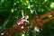 Climber little girl on training. Toddler climbing in a rope playground structure. Cute school little girl enjoying a