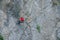 Climber placing safety nets to avoid falling rocks