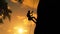 A climber is silhouetted against the evening sky as he clings to a steep rock face