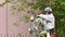 Climber on a tree. Climber on a white background. Arborist man cuts branches with a chainsaw and throws it to the ground. A worker