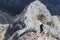 Climber on Triglav Peak, Slovenia, Europe