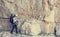 Climber walking on narrow ledge protected by via ferrata set.