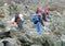 Climbers on MontBlanc hiking route