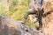 Climbers with ropes stand on rocks.