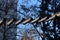 Climbing center, rope obstacle courses between treetops or rope ropes stretched from a pole and rope ladders high above the ground