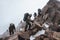 climbing expedition on rocky mountain face, with climbers in full gear and ropes