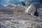 Climbing in Julian alps, Slovenia