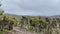 Climbing Kilimanjaro, Africa. The amazing nature of Tanzania. Foggy mountain landscape