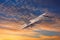 Climbing military combat fighter jet against the backdrop of sunset clouds and sky