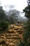 Climbing Mount Kinabalu, Borneo, Malaysia