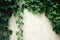 Climbing plant on the white wall. Text frame