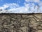 Climbing plants on an old wall among hystorical architecture 3