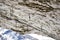 Climbing quickdraws hanging in a rock in the Italian Dolomites