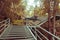 Climbing stairs during fall autumn season outdoors . Autumn in the park .  yellow leaf in Autumn season . season change . turning