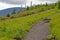 Climbing the trail on Roan Mt, the Flame Azalea are blooming.