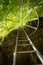 Climbing up a ladder with protection rail against the rocks, straight up into the trees and sunlight