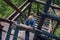 Climbing up by wooden steps in the natural observation tower