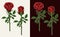 Clip art with lush blooming red roses with stems.