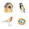 Clip art set with bird house, nest with eggs, titmouse and robin