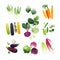 Clip art vegetables set