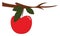 Clipart of an apple fruit hanging from the branch of a tree vector or color illustration