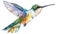 Clipart of beautiful hummingbird design in multicolor watercolor style flying