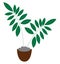 Clipart of a brown pot with green plants vector or color illustration