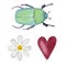 Clipart bug and daisy and heart, hand painted watercolor illustration.