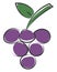 Clipart of a bunch of round-shaped purple grapes vector or color illustration