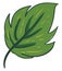 Clipart of an ovate green leaf with a margin small yellow lines and alternate venation vector or color illustration