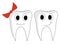 Clipart of a pair of teeth male and female vector or color illustration