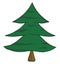 Clipart of a spruce tree/Xmas tree vector or color illustration