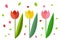 Clipart of three beautiful tulips/Colorful flowers vector or color illustration