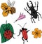 Clipart of vector cartoon insects and flowers. Illustration of a stag beetle, a ladybug on a leaf, a bee on a honeycomb, and