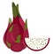 Clipart of the whole and a half-cut dragon fruit vector or color illustration