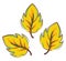 Clipart of yellow autumn leaves vector or color illustration