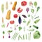 Clipboard of handpainted watercolor organic vegetable cliparts